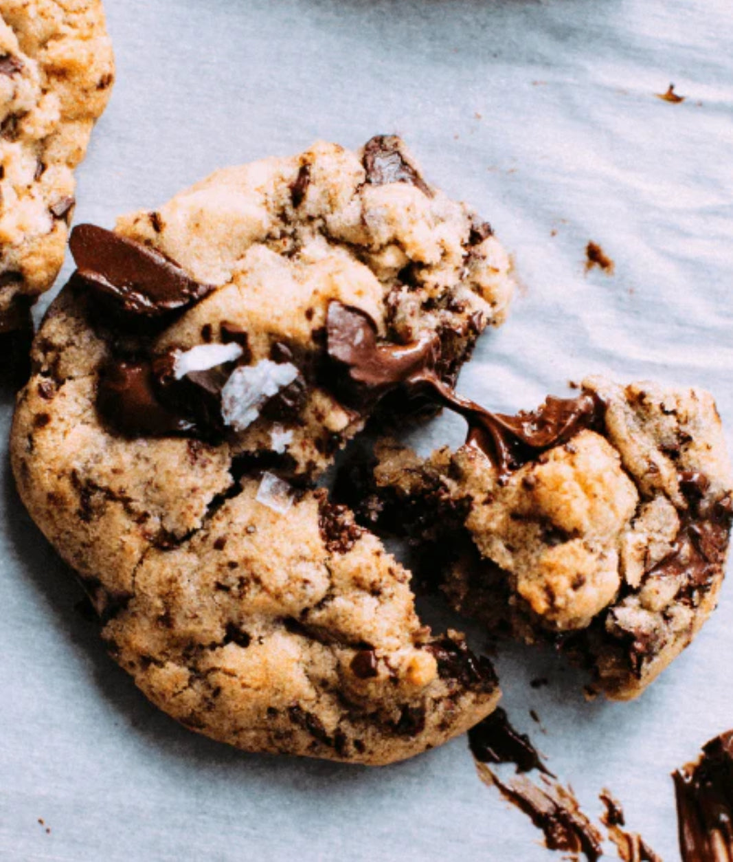 Chocolate chip cookie